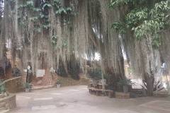 Alejandra-Cortissoz-Menu-Galeria-56