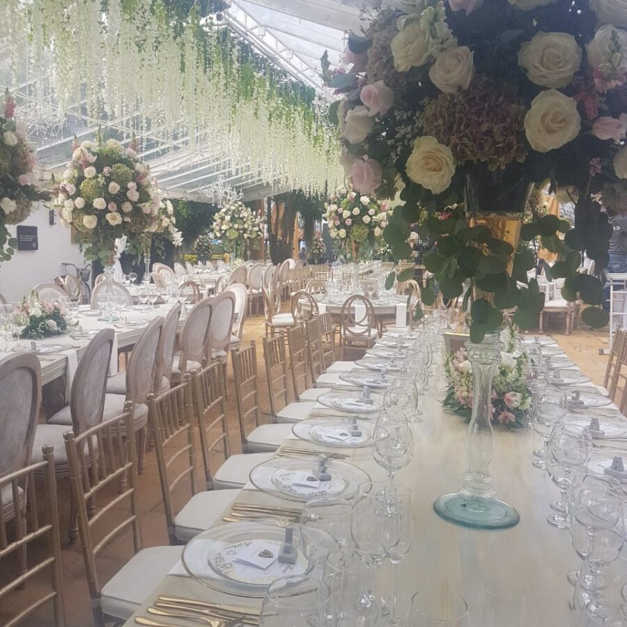 2018-11-13 at 10.00.02 AM (2)